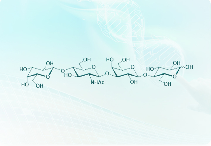 J9集团平台(中国)公司官网