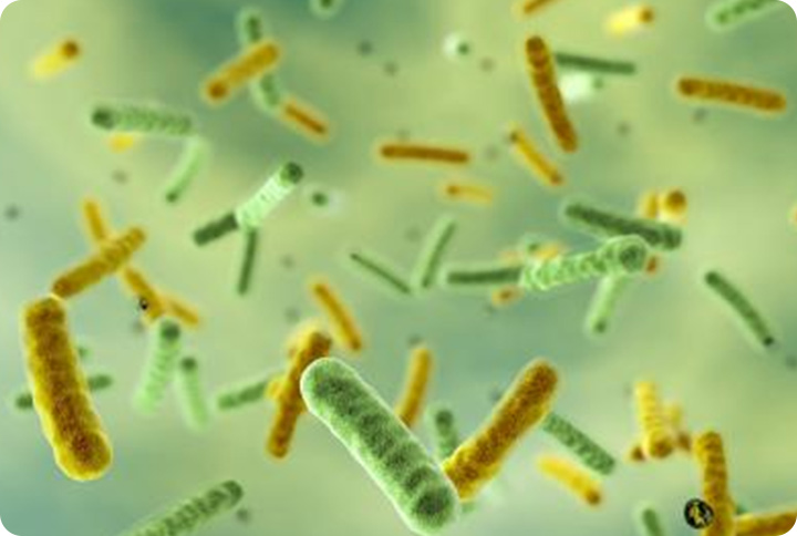 J9集团平台(中国)公司官网