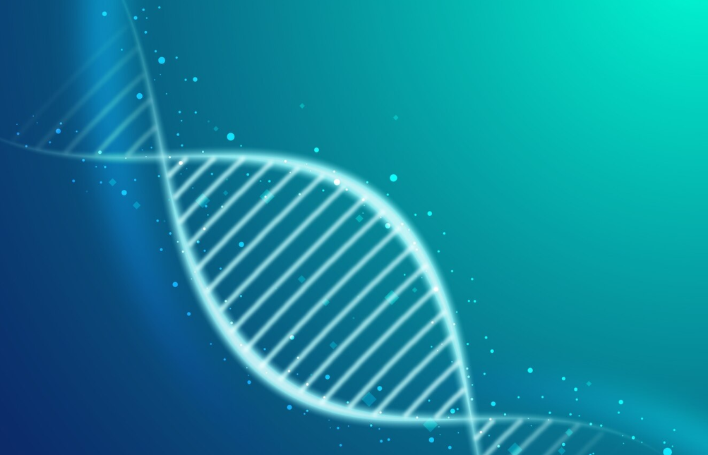 J9集团平台(中国)公司官网